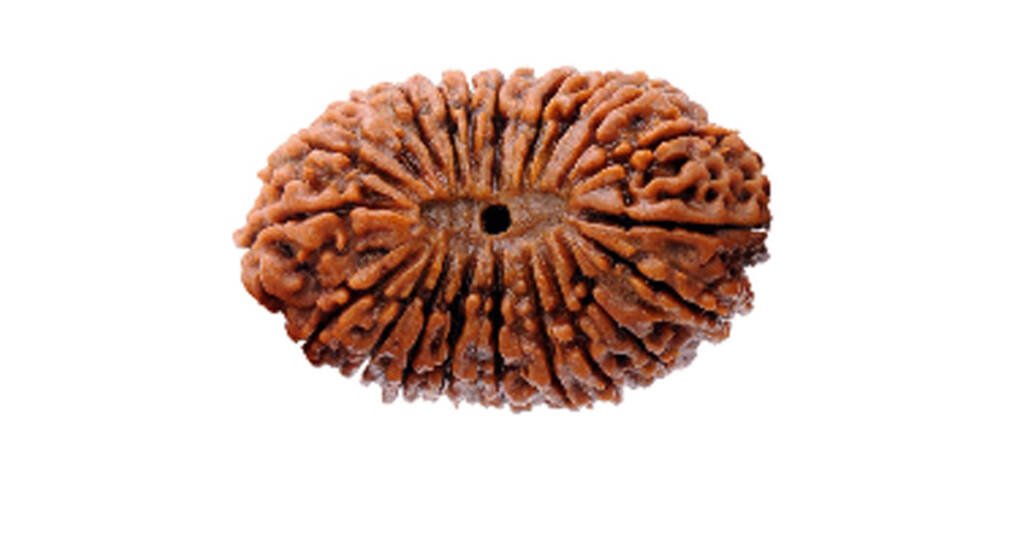 Twenty-One Mukhi Rudraksha And Its Effects