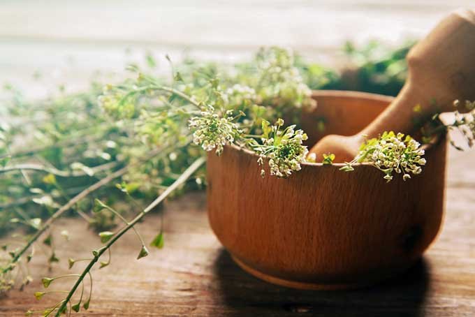 ANCIENT BEAUTY SECRETS