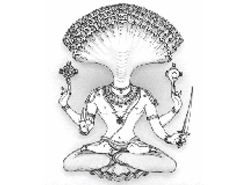 Yogsutras of Patanjali 2.10