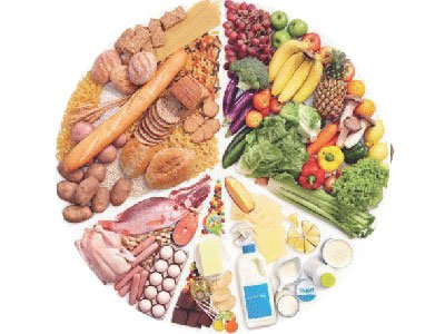 The Digestive Factor