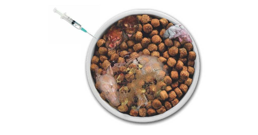 Euthanised Animals In Your Dog Food?