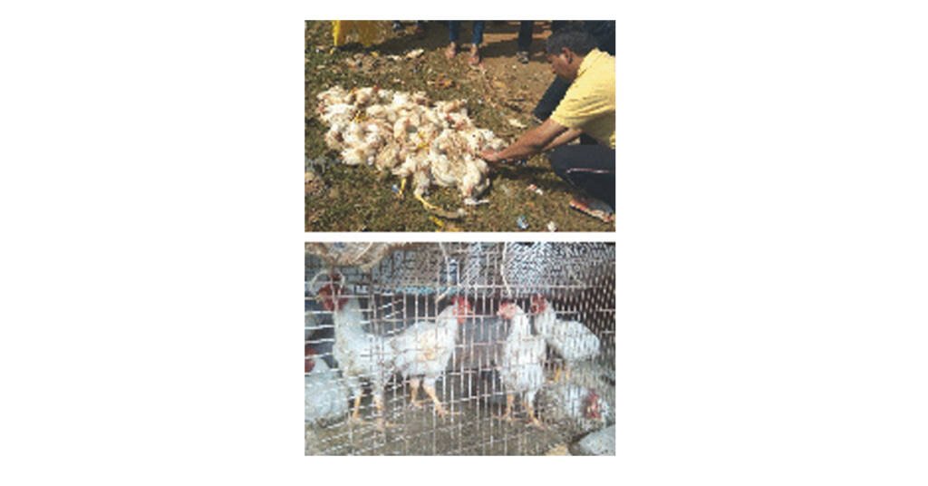 Happy New Year – Sadhaks Experience