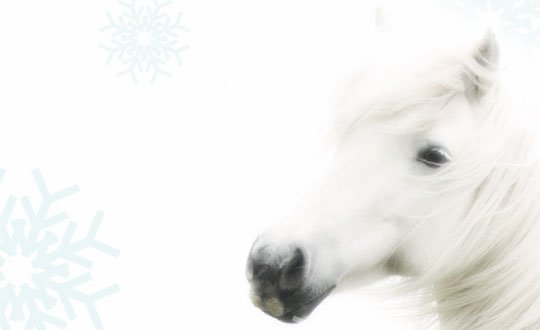 Kapha: Binding Factor