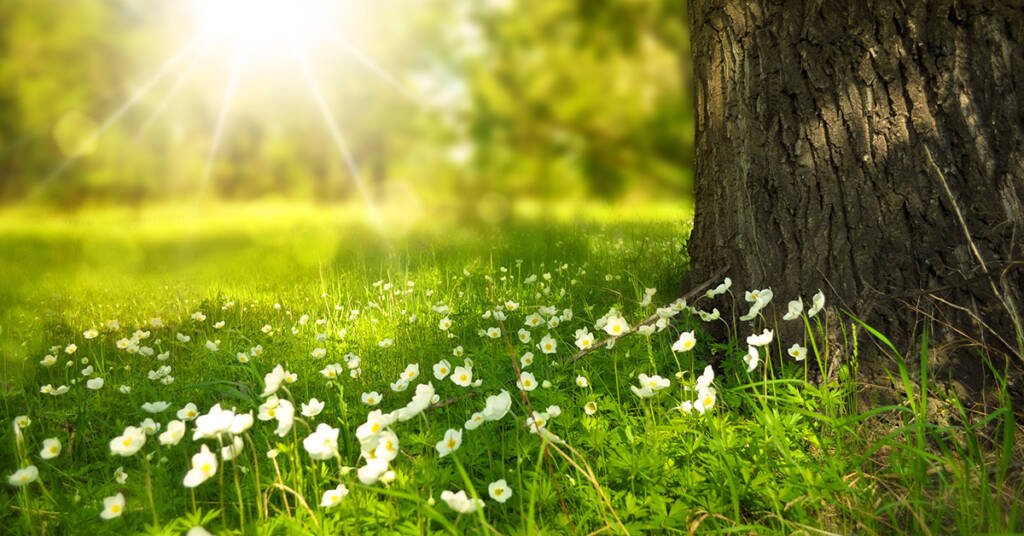 Desire and Rebirth As Explain In Bhagwad Gita