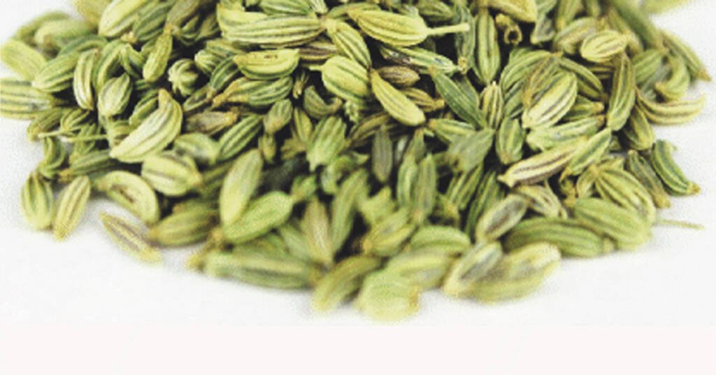 Reduce Kapha, Reduce Excess Fat